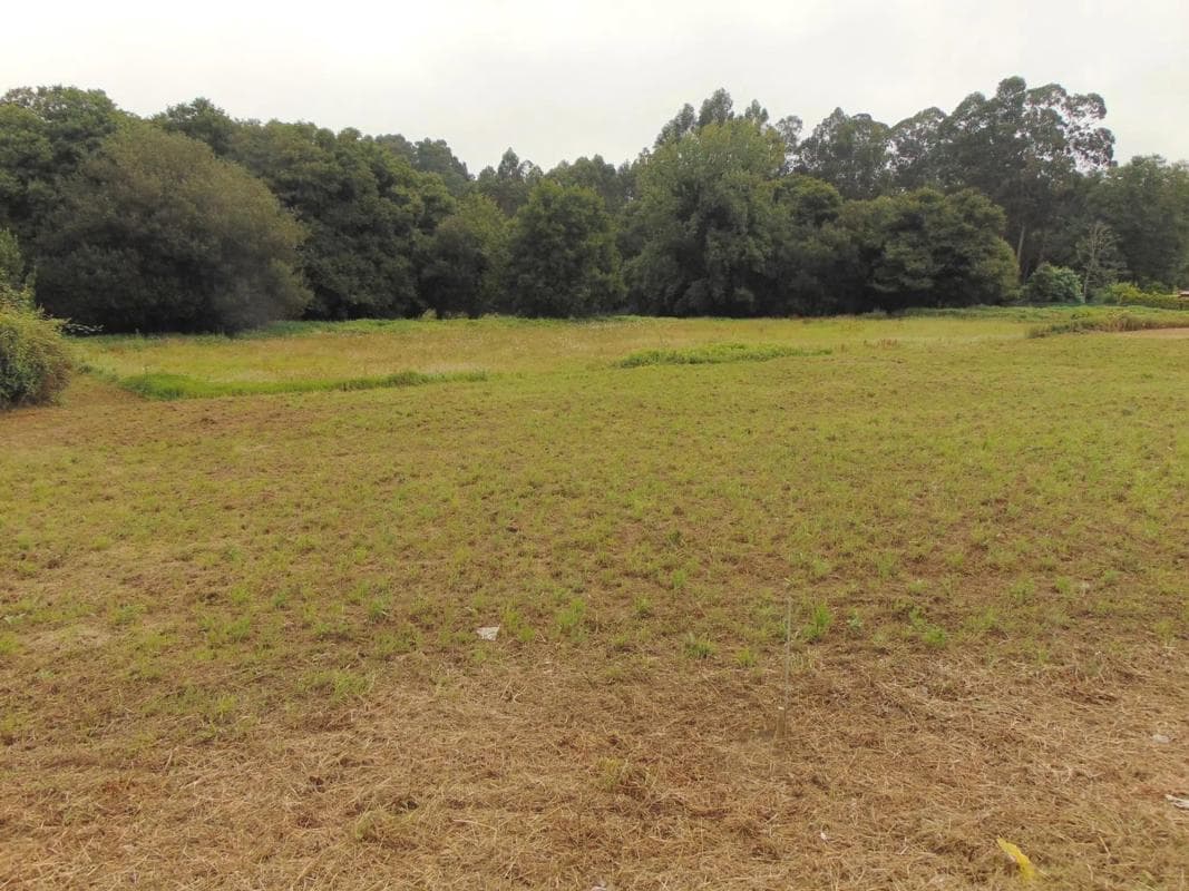 Terreno en venta en Bergondo, A Coruña photo 2