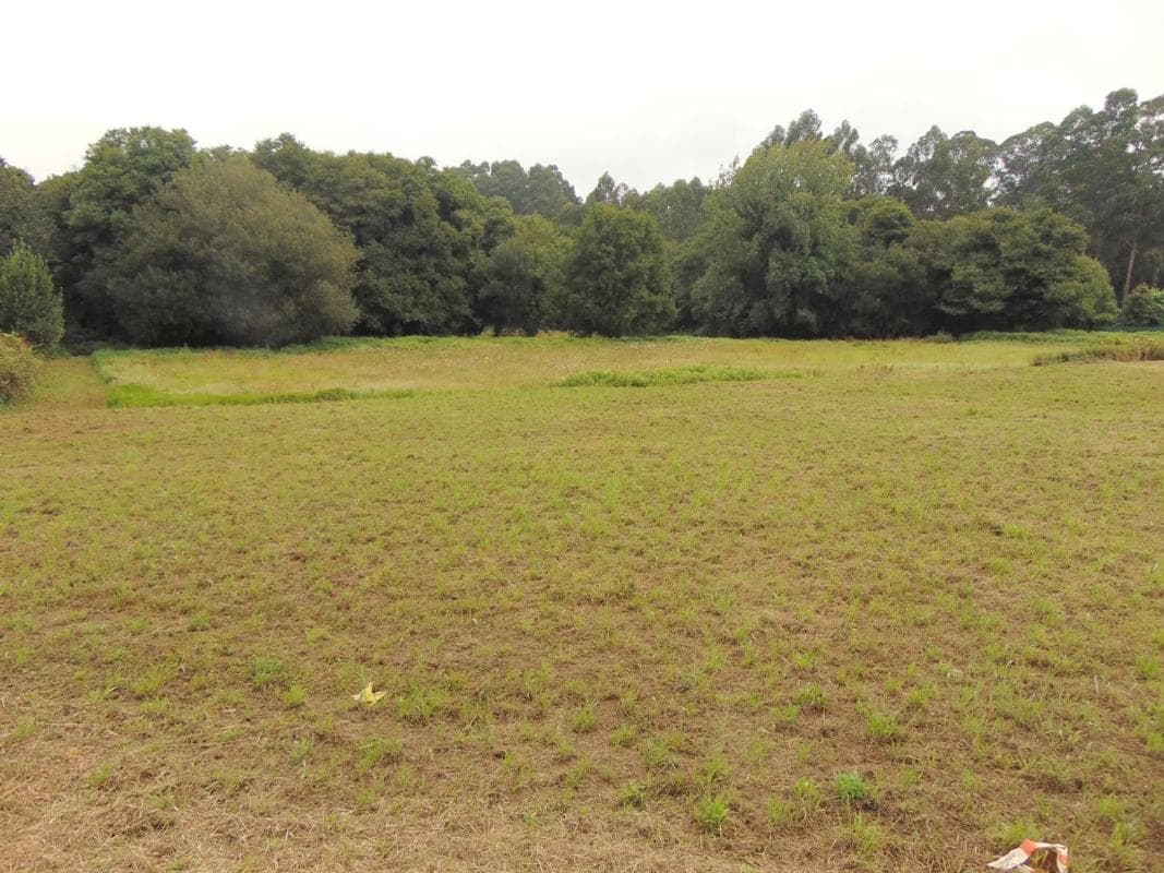 Terreno en venta en Bergondo, A Coruña photo 3