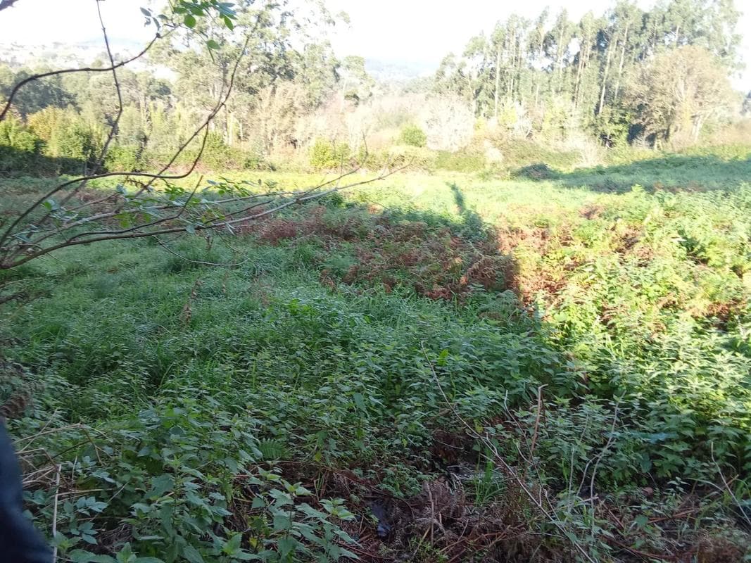 Terreno en venta en Bergondo, A Coruña photo 2