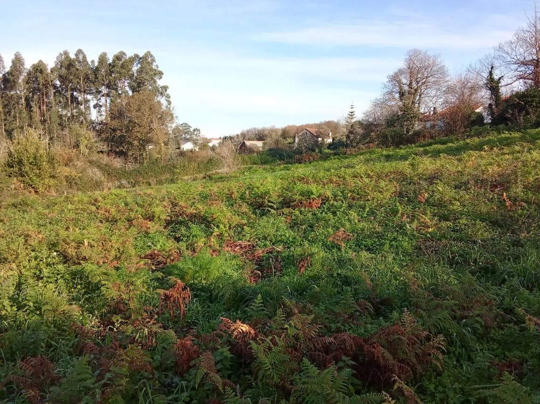 Terreno en venta en Bergondo, A Coruña photo 4