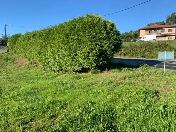 Terreno en Lodeiro, 23 photo 2