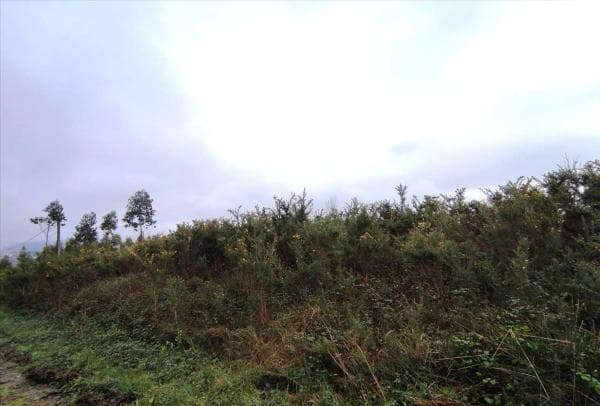 Terreno en Cabrois photo 4