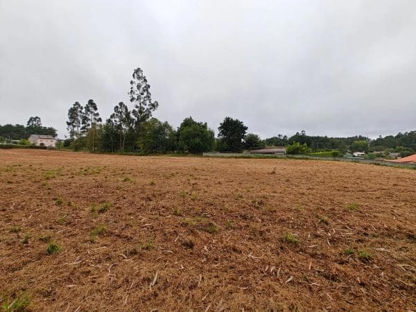 Terreno en Lugar Francos photo 1