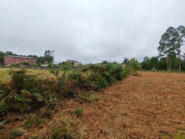 Terreno en Lugar Francos photo 3