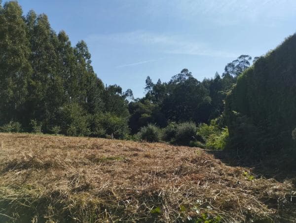 Terreno en Azoreira s/n photo 1