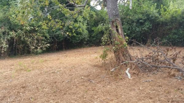 Terreno en brexo photo 4
