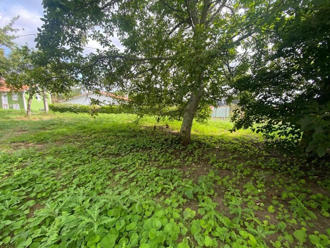 Terreno en venta en Sada, A Coruña photo 2