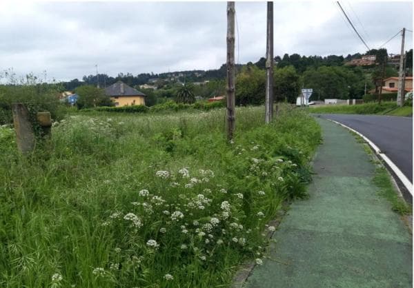 Terreno en calle Chaburra photo 4