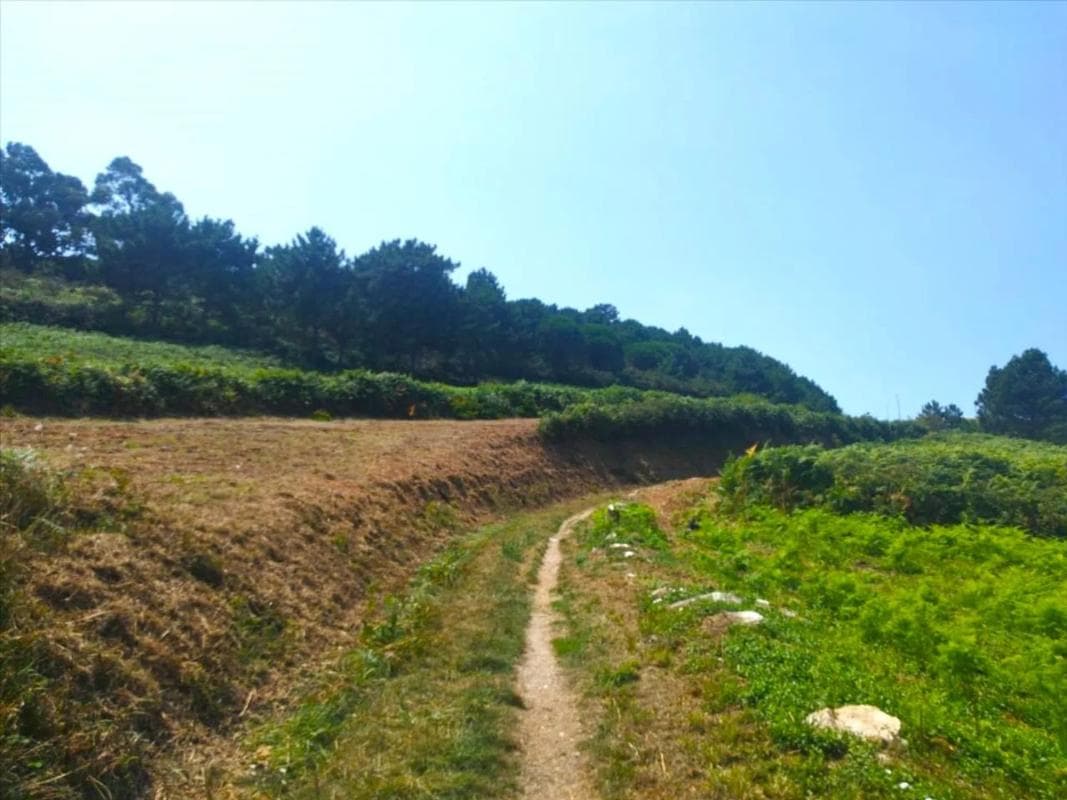 Land for sale in A Coruña, A Coruña photo 4