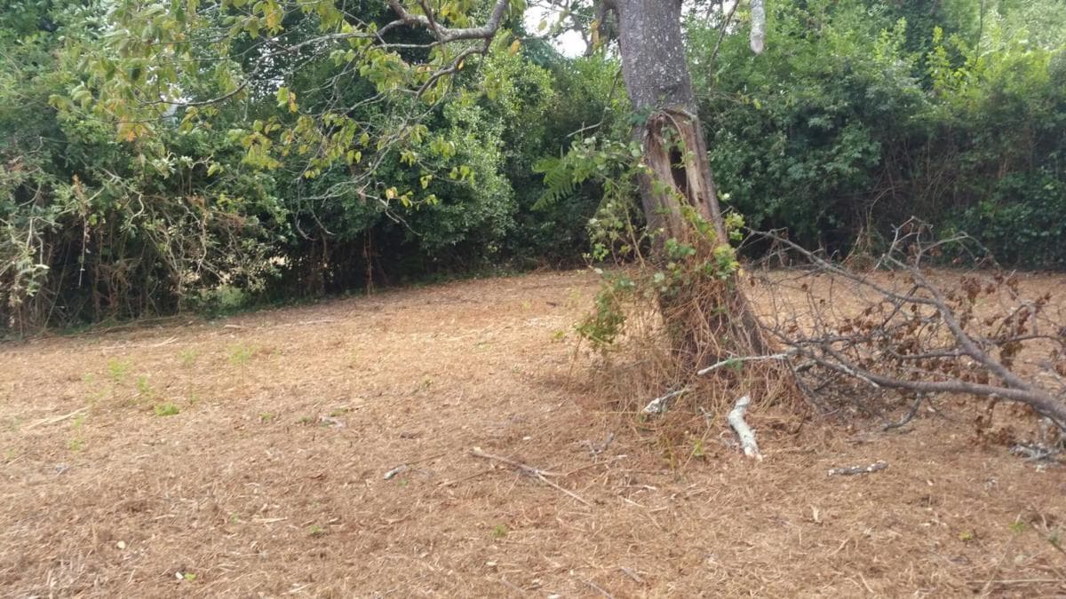 Terreno en venta en Cambre, A Coruña photo 5