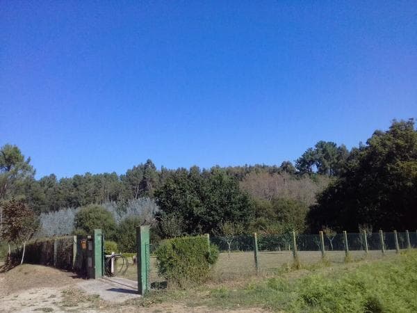 Terreno en Lugar Pagueira, 7 thumbnail 1