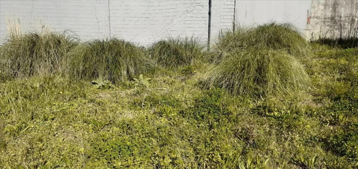 Terreno en venta en Arteixo, A Coruña photo 2