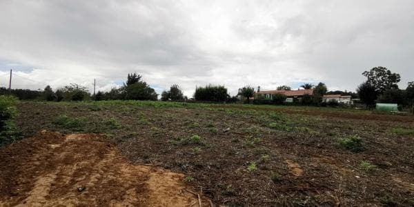 Terreno en Bergondo photo 4