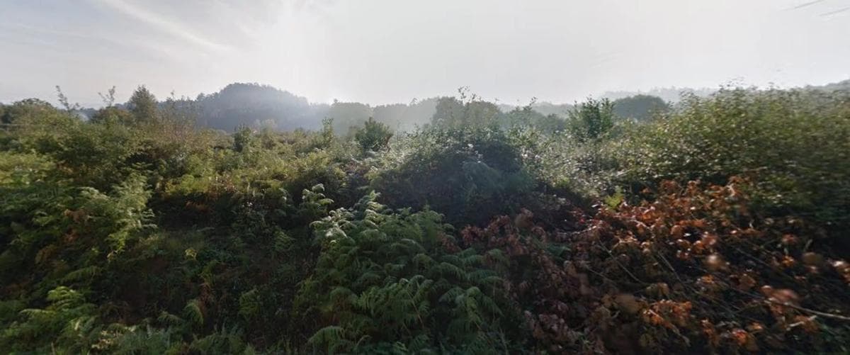 Terreno en venta en Bergondo, A Coruña photo 5