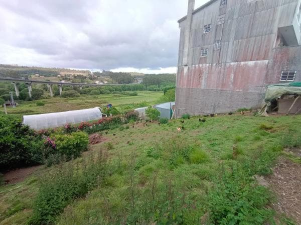 Terreno en 1dp-0511, 11 t photo 1