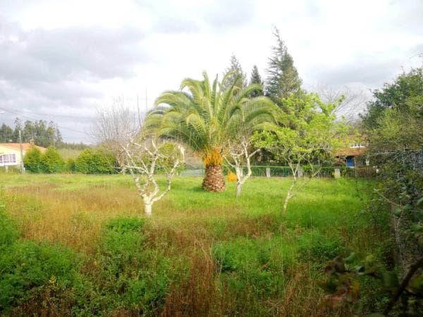 Terreno en Sada photo 3