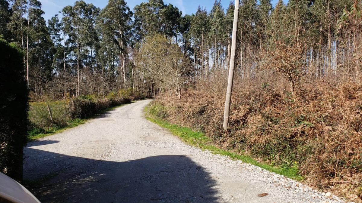 Terreno en venta en Bergondo, A Coruña photo 3