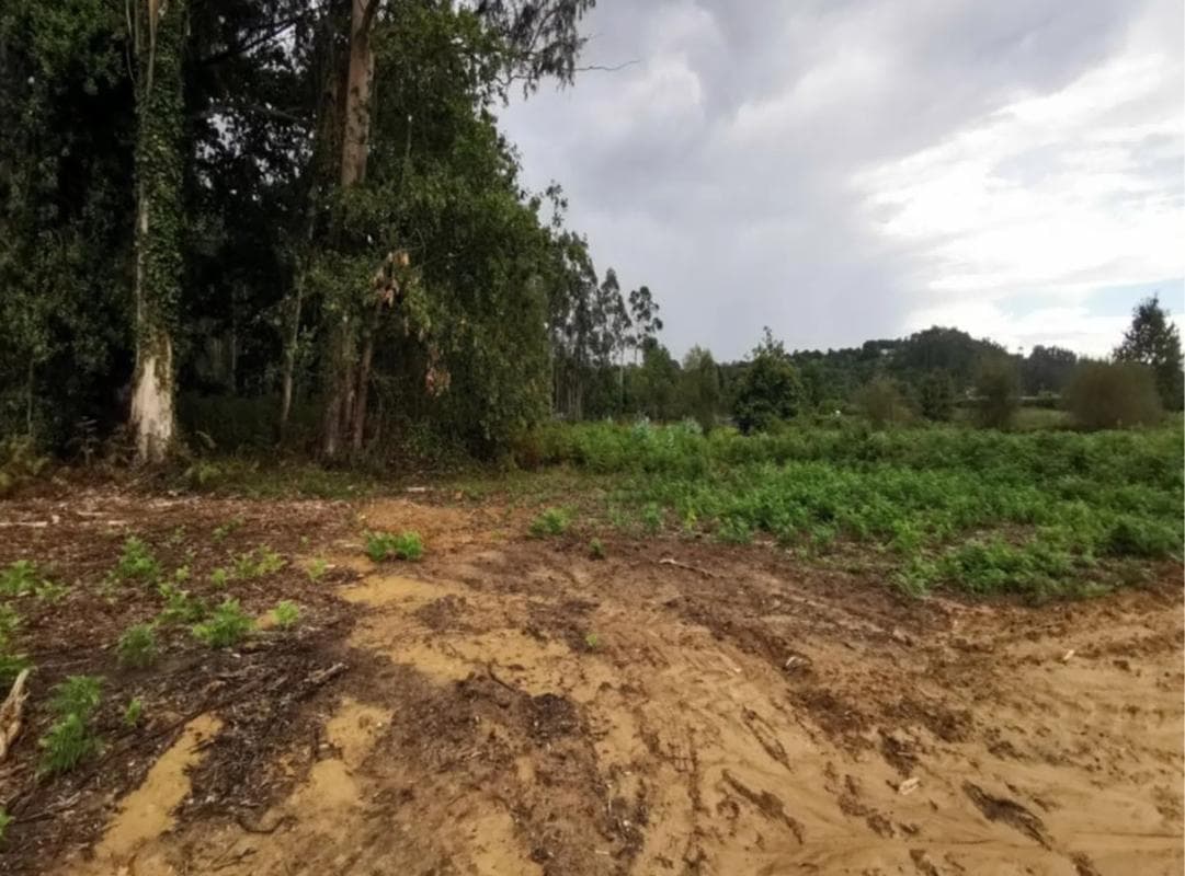 Terreno en venta en Bergondo, A Coruña photo 3