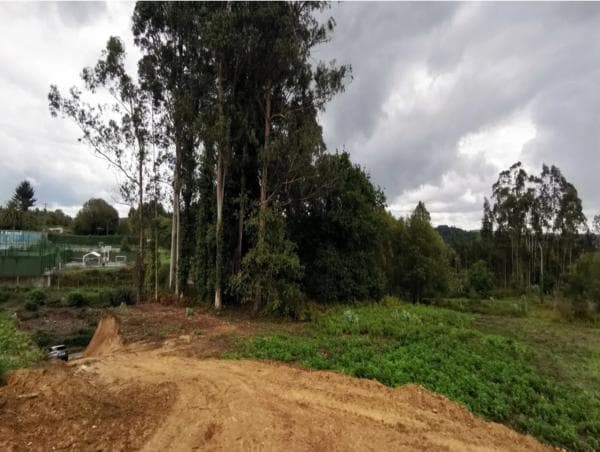 Terreno en Carrio photo 4