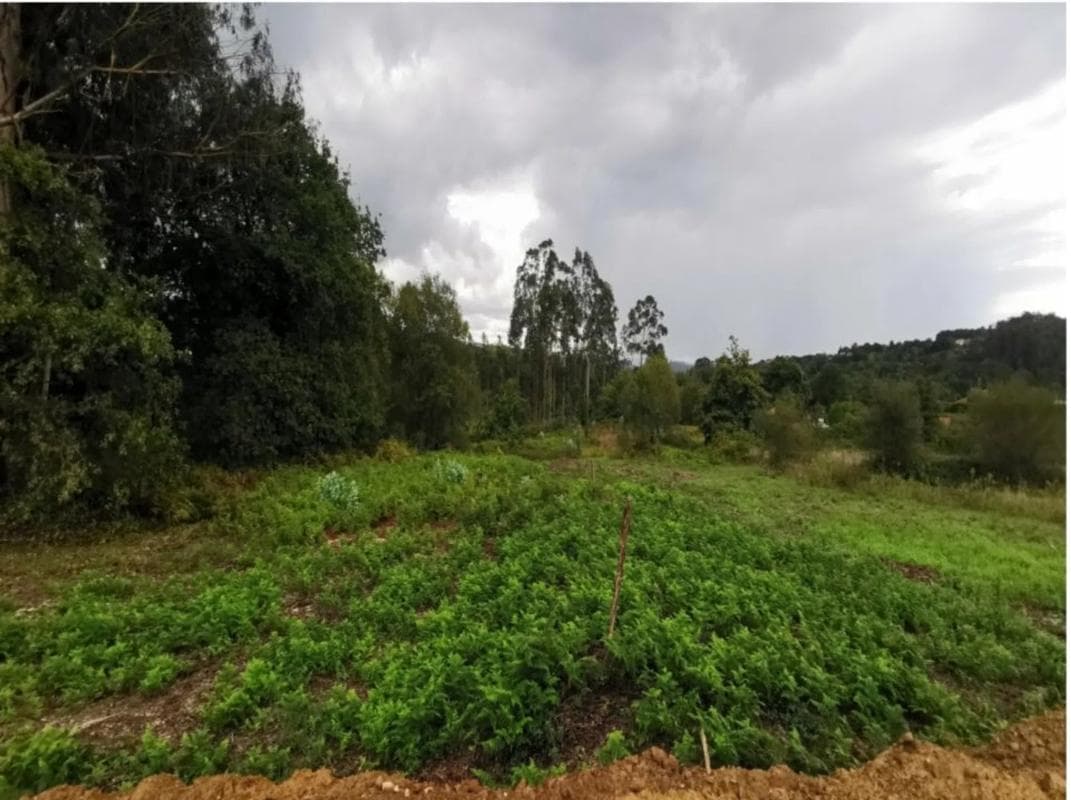 Terreno en venta en Bergondo, A Coruña photo 5