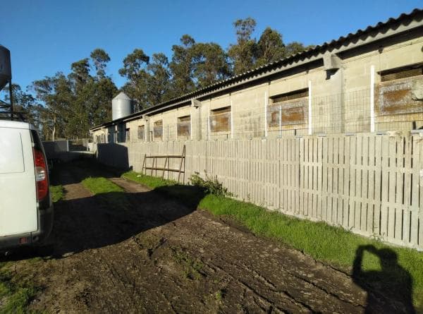 Terreno en Canzobre s/n photo 1