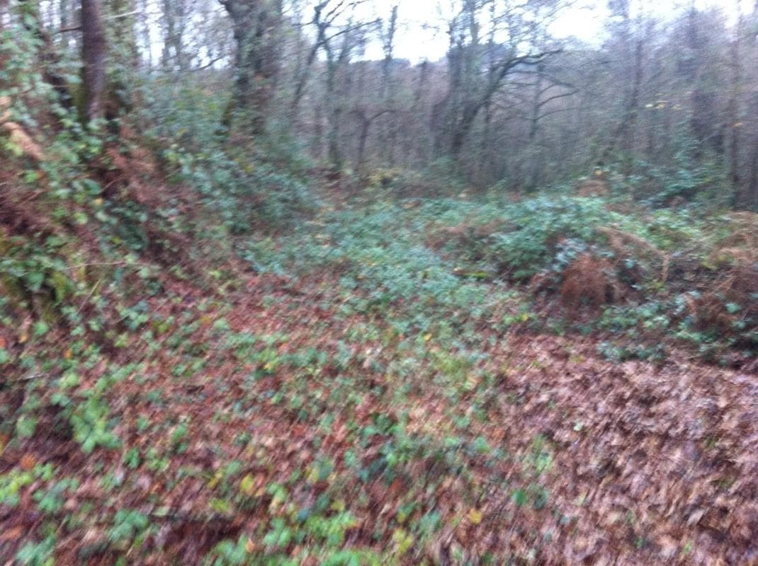Terreno en venta en Cambre, A Coruña photo 3