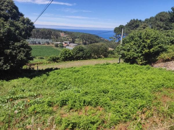 Terreno en carretera Dp-0514 s/n thumbnail 2