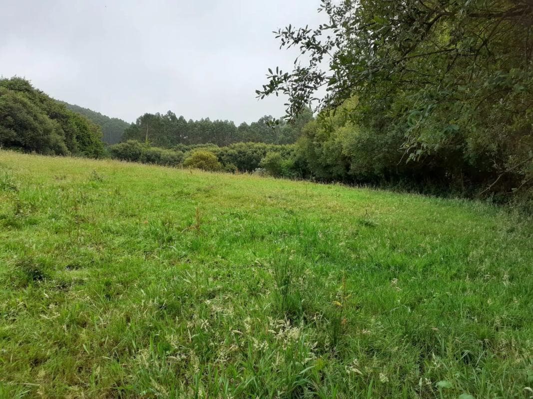 Terreno en venta en Cedeira, A Coruña photo 3