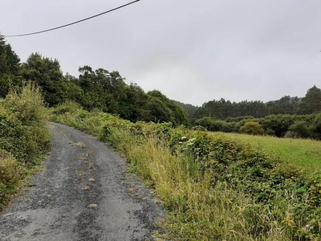 Terreno en venta en Cedeira, A Coruña photo 4
