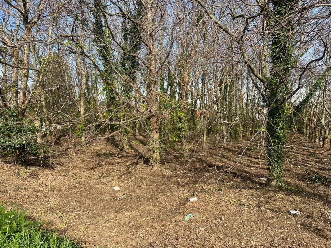 Terreno en venta en Valdoviño, A Coruña photo 3