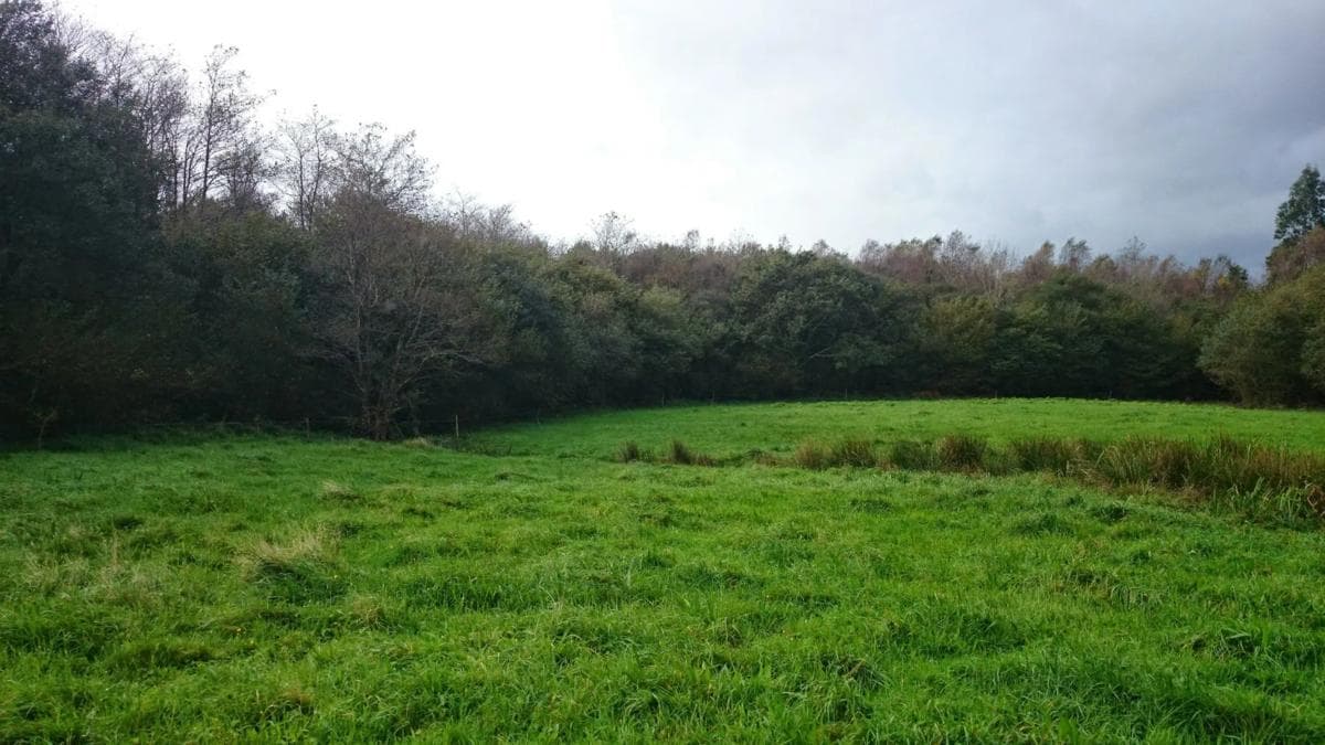 Land for sale in Somozas, A Coruña photo 4