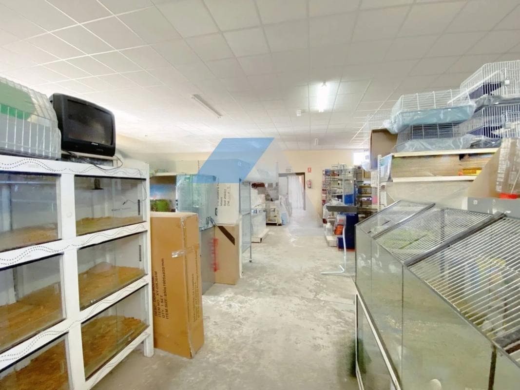 Propiedades en venta y alquiler en España photo 4