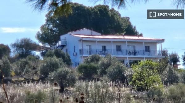 Apartment for rent in Lugar , Madrid photo 1