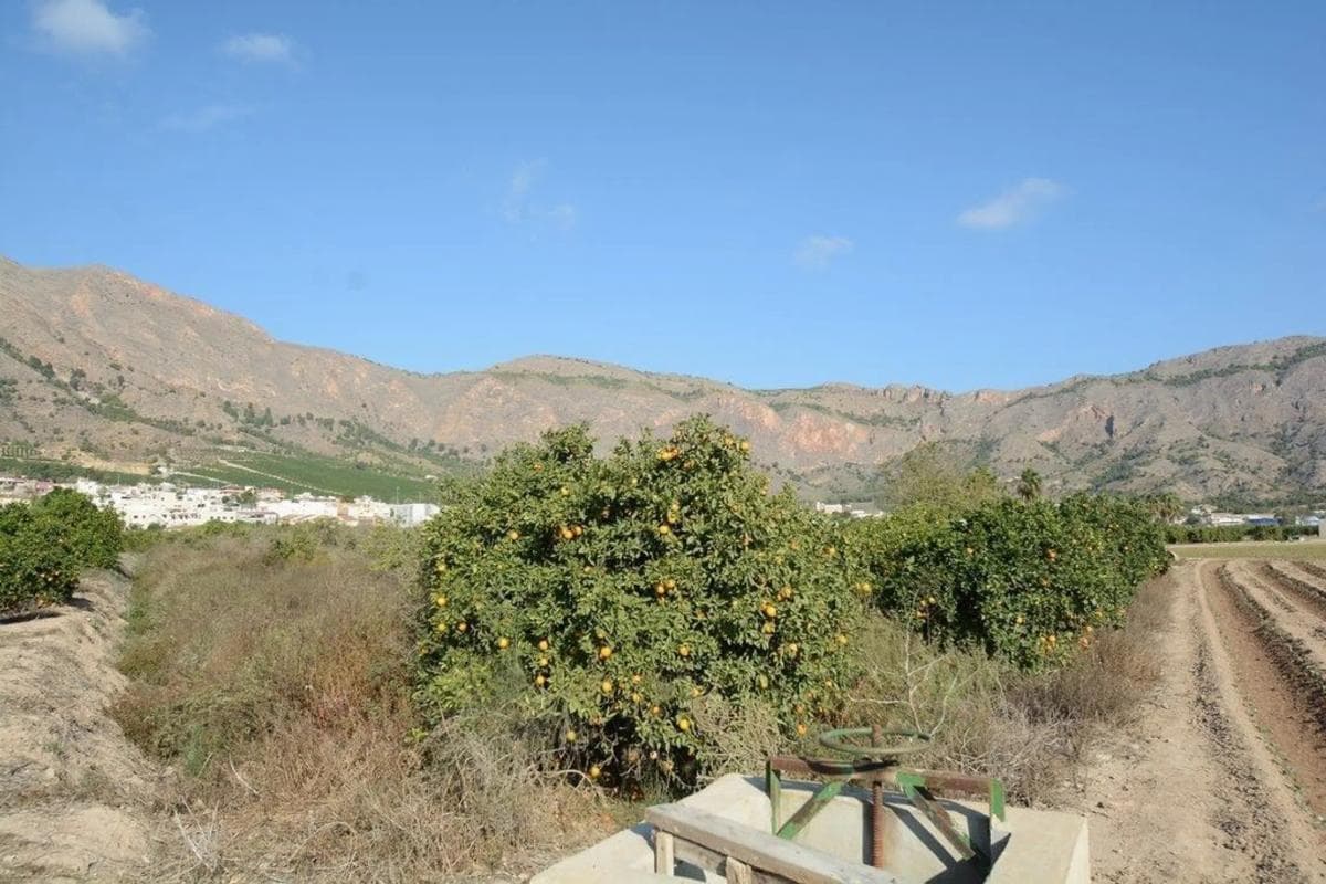 Terreno en venta en Orihuela, Alicante photo 2