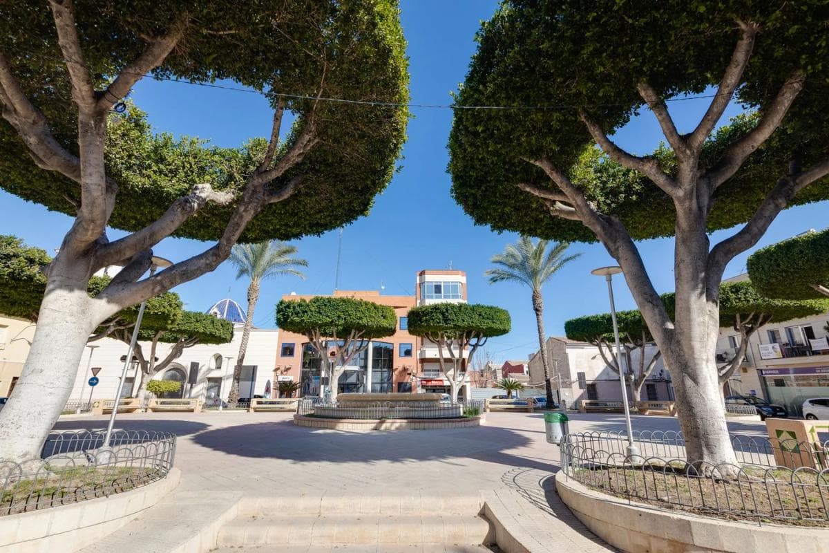 Terreno en venta en San Fulgencio, Alicante photo 4