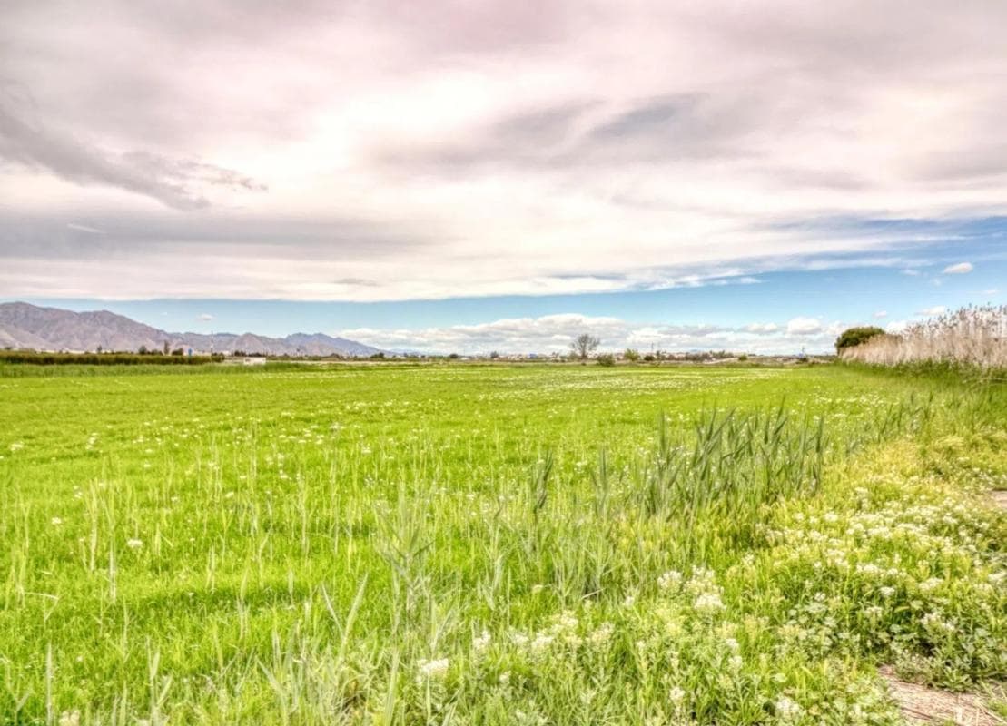 Terreno en venta en San Isidro, Alicante photo 2