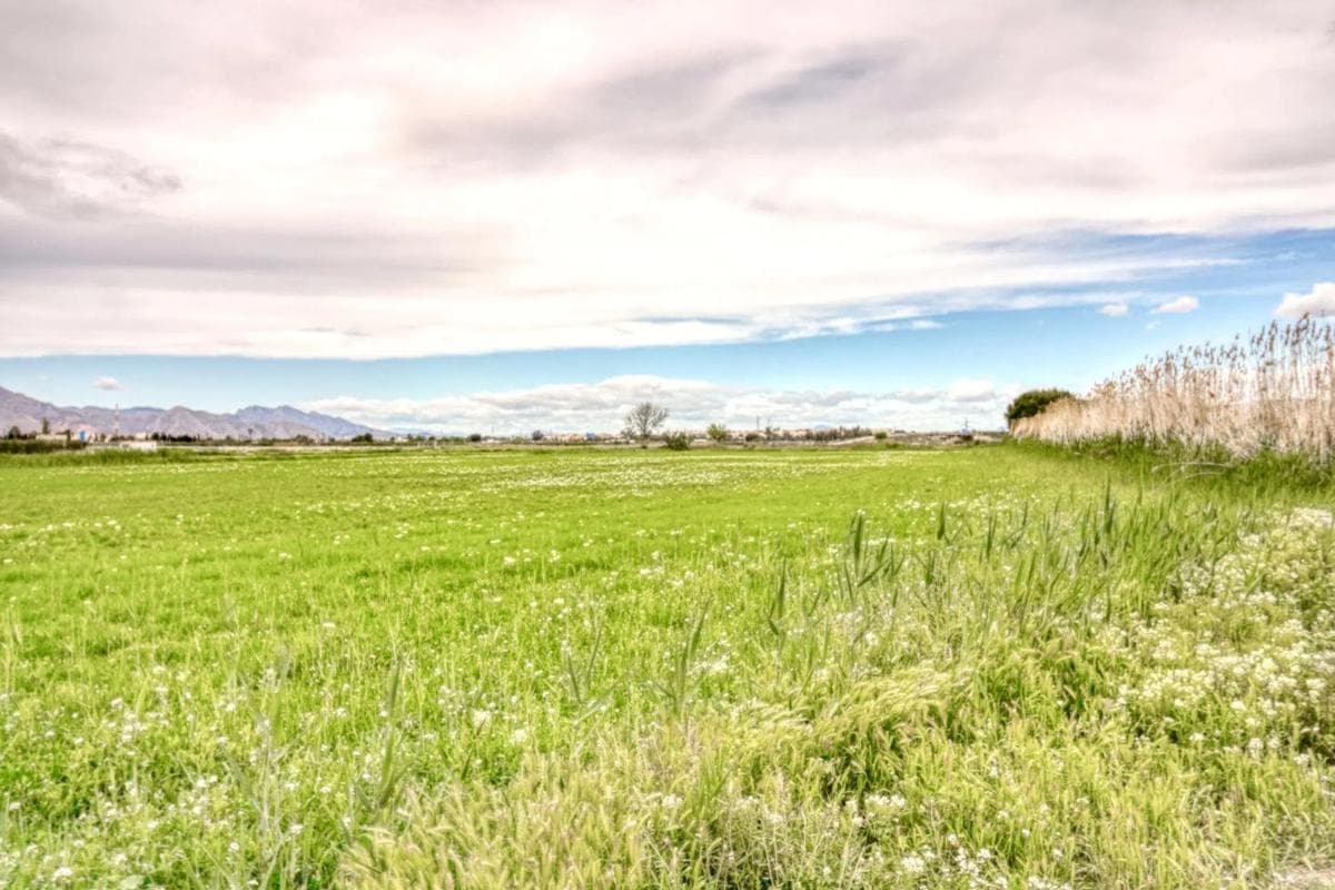 Terreno en venta en San Isidro, Alicante photo 4