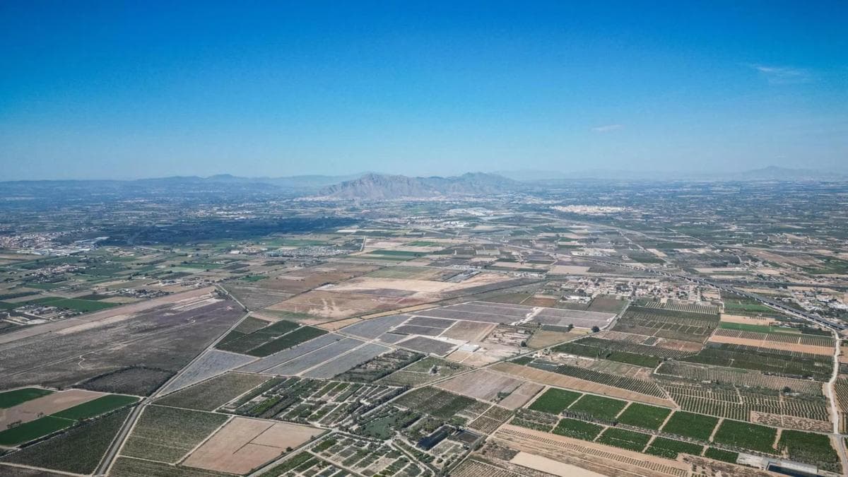 Terreno en venta en Crevillente, Alicante photo 5
