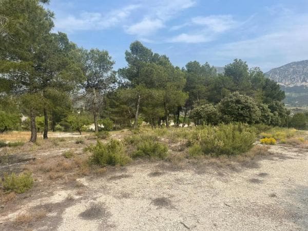 Terreno en Balones photo 1