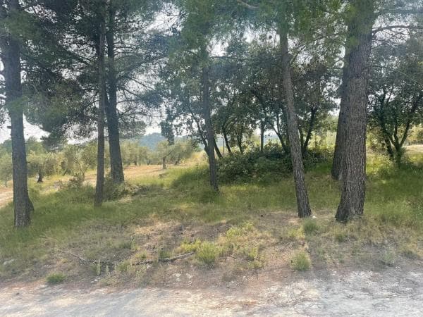 Terreno en Balones photo 3