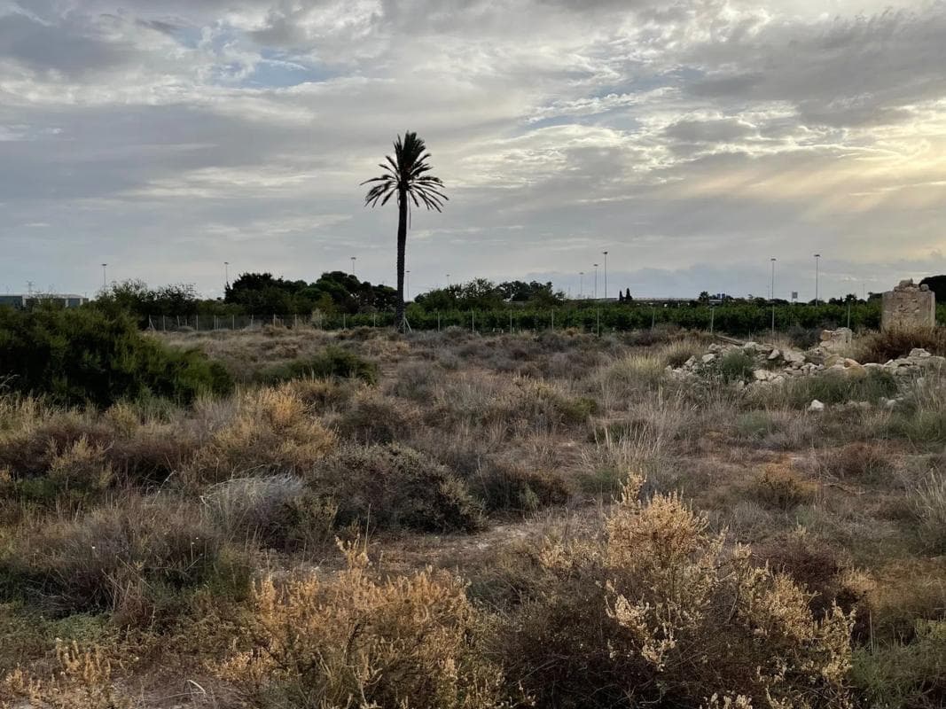 Terreno en venta en Mutxamel, Alicante photo 3