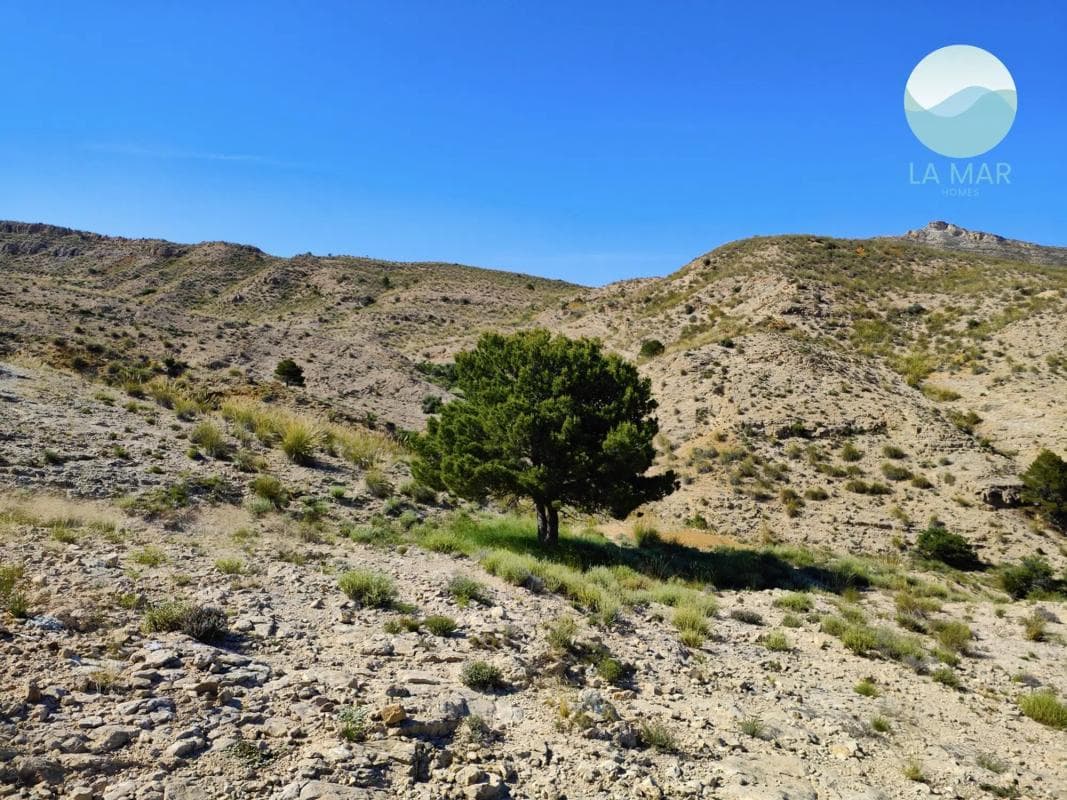 Terreno en venta en San Vicente del Raspeig, Alicante photo 2