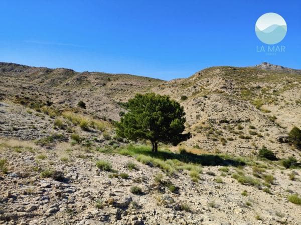 Terreno en tossal redó, 12 thumbnail 1