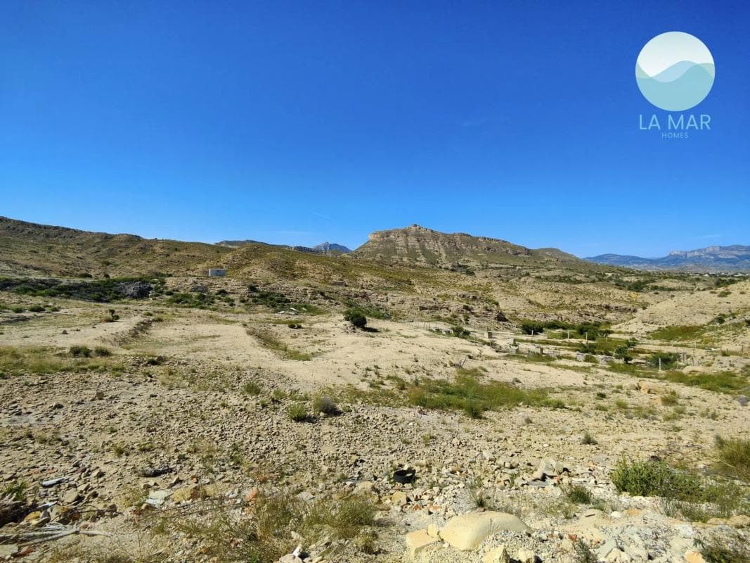 Terreno en venta en San Vicente del Raspeig, Alicante photo 5