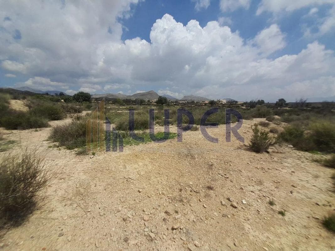 Terreno en venta en San Vicente del Raspeig, Alicante photo 4