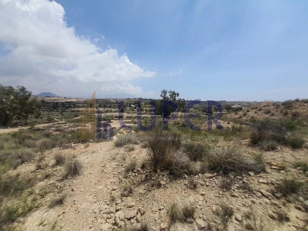 Terreno en venta en San Vicente del Raspeig, Alicante photo 5