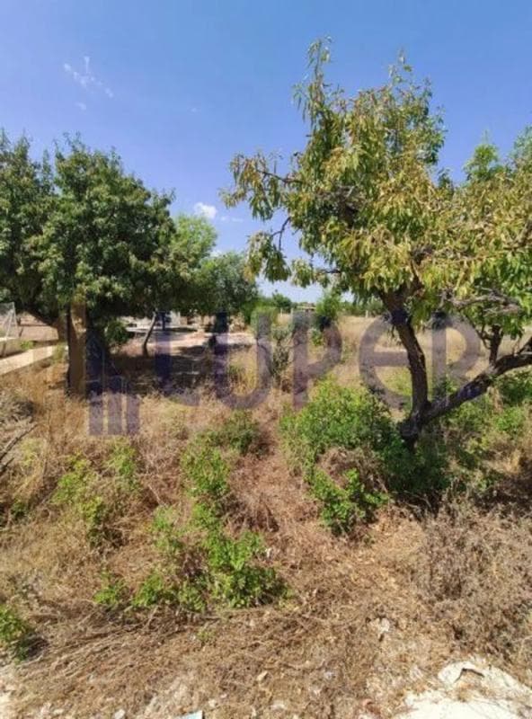 Terreno en venta en San Vicente del Raspeig, Alicante photo 4