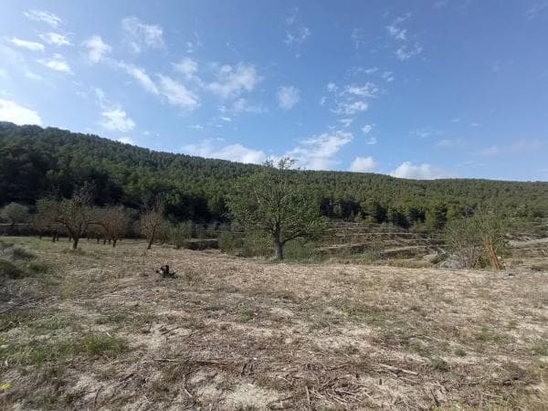 Terreno en Teix, 20 photo 4