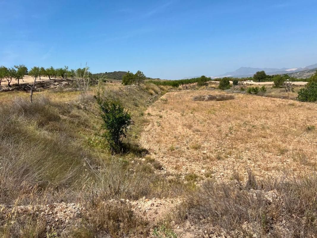 Terreno en venta en Orihuela, Alicante photo 3