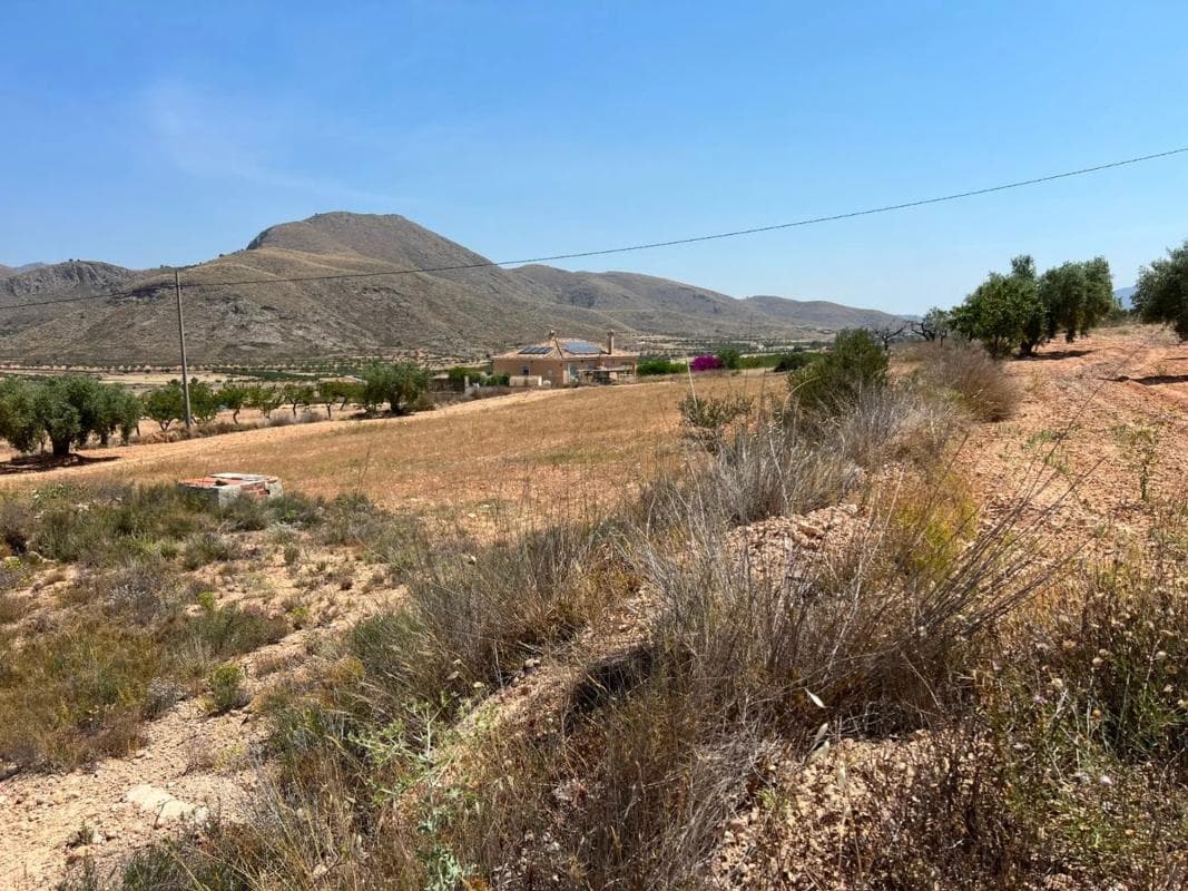 Terreno en venta en Orihuela, Alicante photo 4